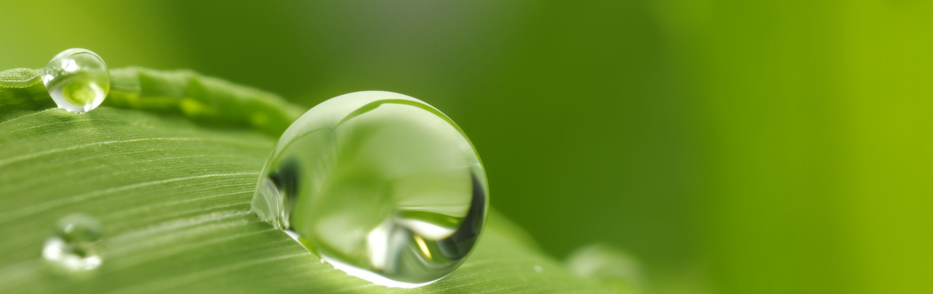 Sustainability banner