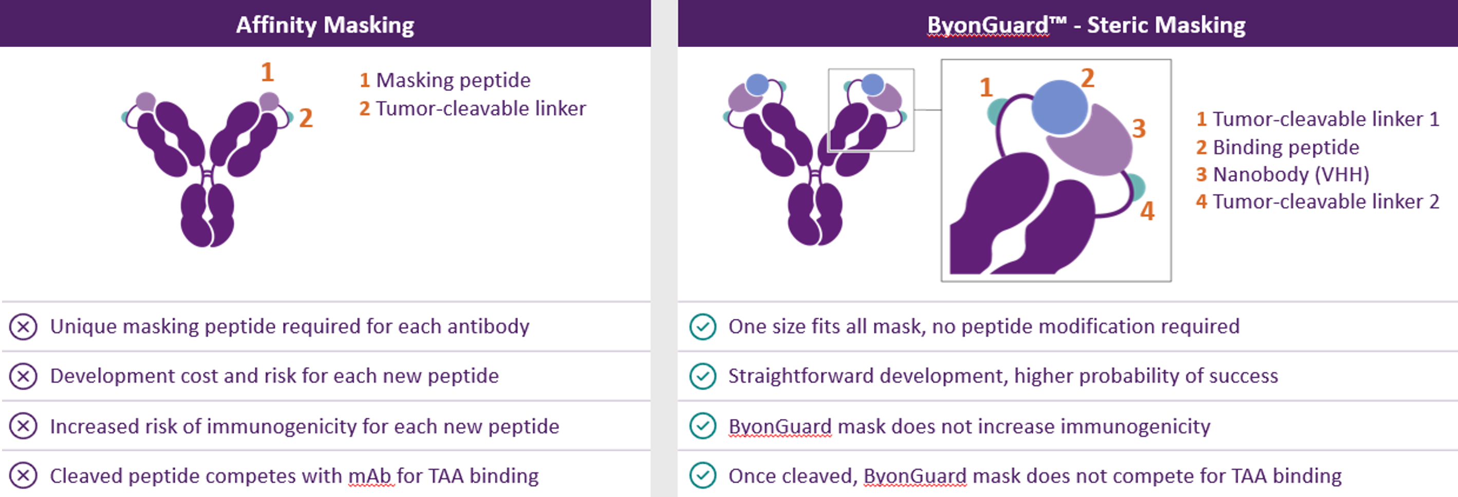 ByonGuard™: Highly differentiated universal mask to reduce off-tumor toxicity